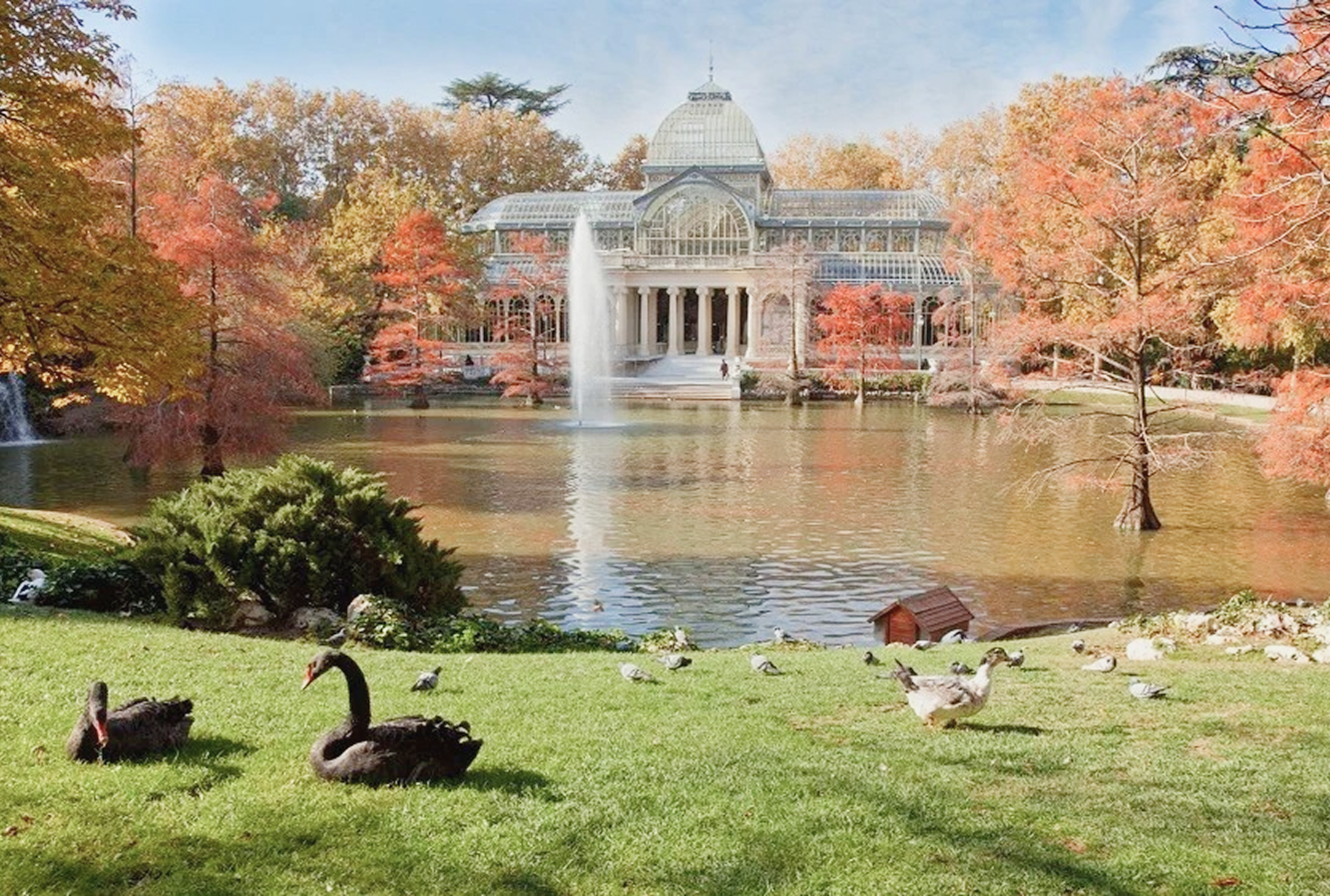EL RETIRO A UN PASO